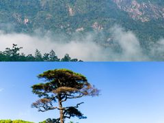 -帽儿山风景区
