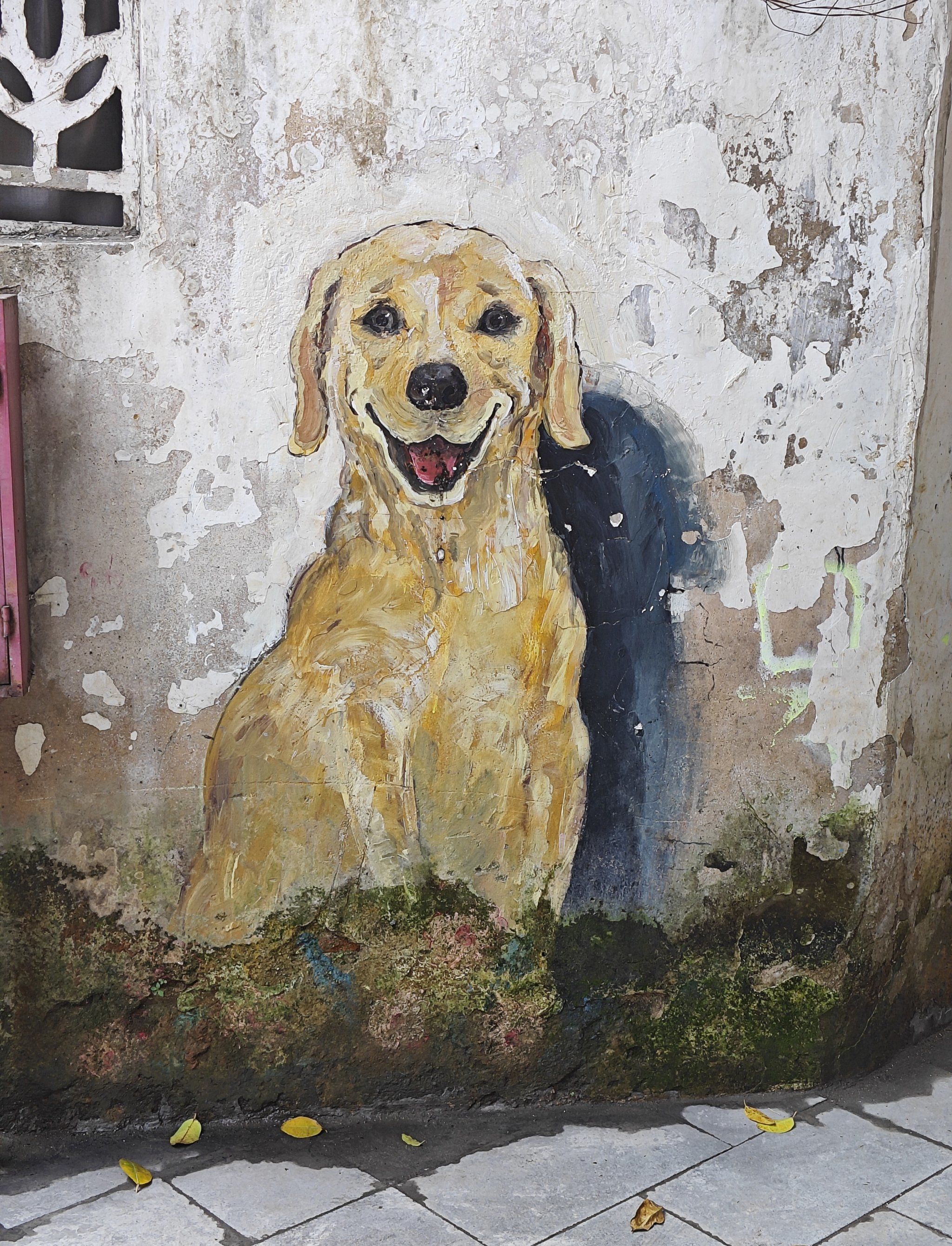 墙角的涂鸦秘境