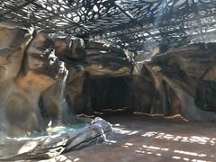 -杭州开元森泊度假乐园