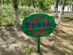 -大兴滨河森林公园