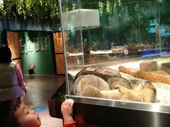 -昆明大悦城未来动物城(螺蛳湾中心店)