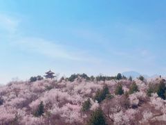 -白水寺森林公园