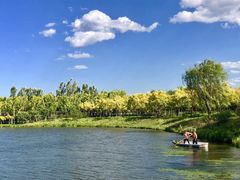 -东郊湿地公园