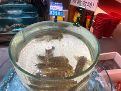 -强记海鲜·大排档(蛇口新街店)