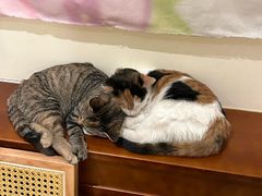 -大象厨房(重庆道店)