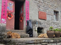 -高荡千年布依古寨旅游景区