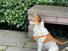 -杭州半山国家森林公园