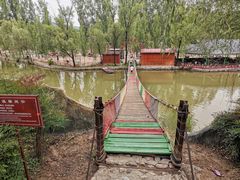 -东方巨龟苑景区