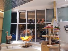 -飞行喵MR PILOT|猫舍·猫咖(静安大融城店)