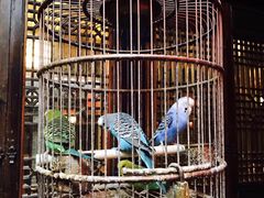 -鱼桥巷·美学川菜