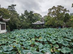 -无锡蠡湖国家湿地公园-蠡园