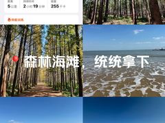 -日照海滨国家森林公园