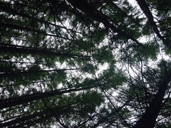 iphone_upload_pic-木兰围场