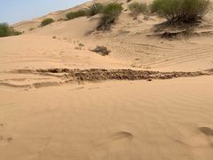 -亿利库布其七星湖沙漠生态旅游区