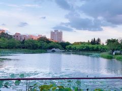 -映月湖公园