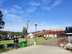 -黄海国家森林公园