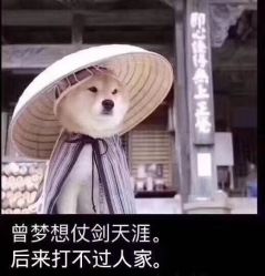 -Hair house发舍