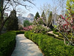 -团结湖公园