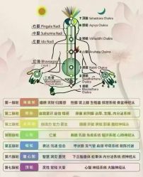 -紫琪尔胸部养护中心