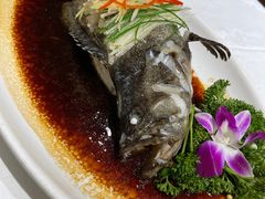 -小贝壳酒楼(经九路店)