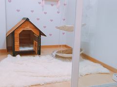 -BABYDOG宝贝狗宠物乐园(欧洲城店)