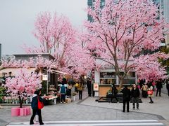 -首开·龙湖成都西宸天街