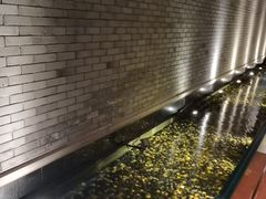 -晶采轩(虹桥路店)
