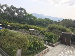 -大埔公路-马料水段香港中文大学(公交站)