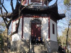 -上海佘山国家森林公园天马山园