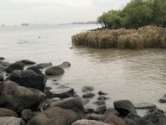 -半岛公馆(淞兴西路店)