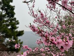 -南京老山国家森林公园
