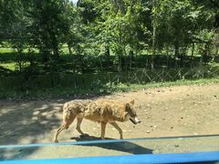 -北京野生动物园