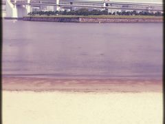 -台场海滨公园船码头