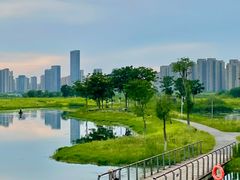 -洋湖国家湿地公园