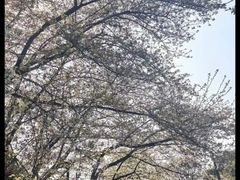 -杭州少年儿童公园