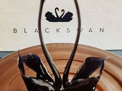 -BLACKSWAN黑天鹅(环球店)