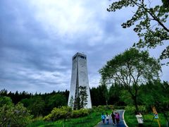 -东平国家森林公园
