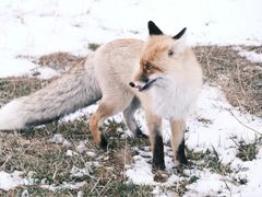 -华晨宝马铁西工厂