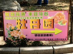 -莲花池公园