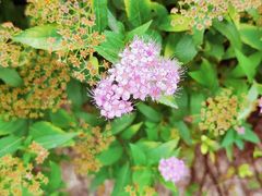 -九里河湿地公园