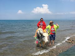 -青海湖国家重点风景名胜区