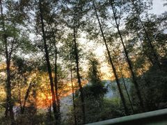 -武陵山森林公园