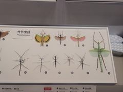 -四川大学博物馆