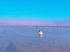 -南汇嘴观海公园