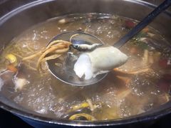 -千岛蚝高压锅生蚝·人参火锅(白云万达店)