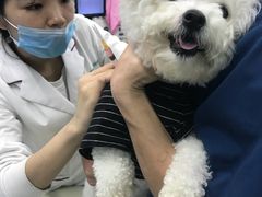 -瑞派动物医院·猫专科·至诚(江南中分院)