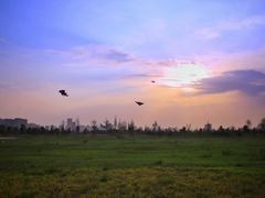 -汉长安城未央宫国家考古遗址公园