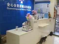 -全心全意连锁动物医院·微创中心·内科急重症·心脏专科(丰管路店)