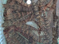 -南沙十九涌渔人码头-南门