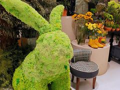 -PlantsEatery·植物食堂(REX春熙店)